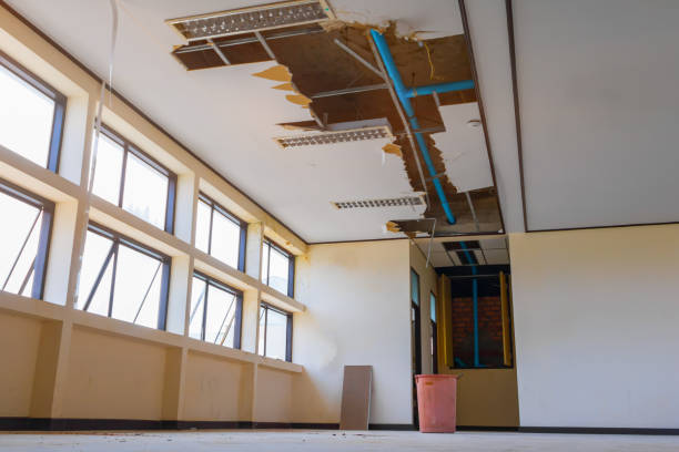 Best Water damage contractors near me  in Chebanse, IL