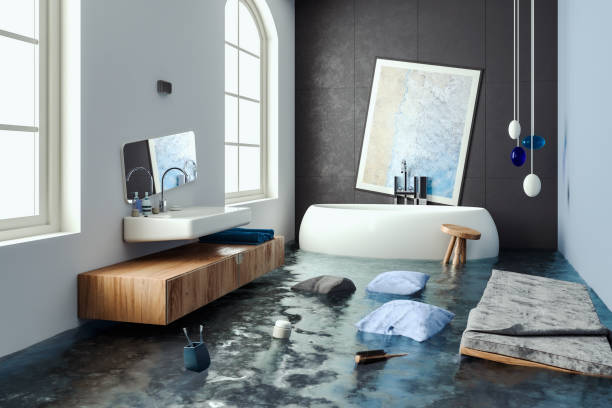 Best Carpet water damage restoration  in Chebanse, IL