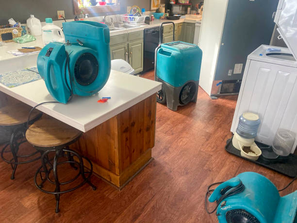 Best Commercial water damage restoration  in Chebanse, IL