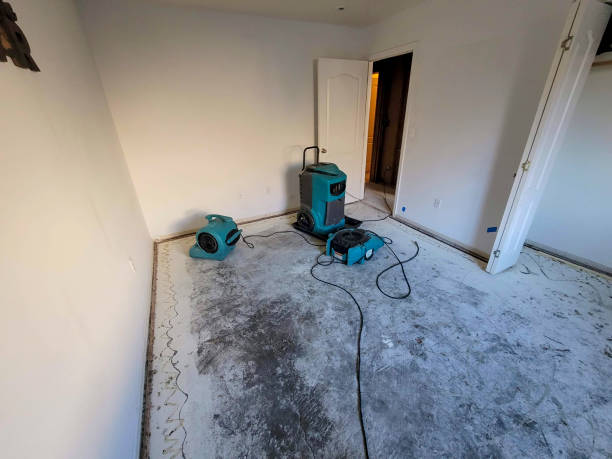 Best Professional water damage repair  in Chebanse, IL