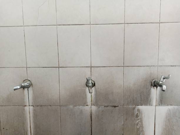 Best Fire Damage Restoration  in Chebanse, IL