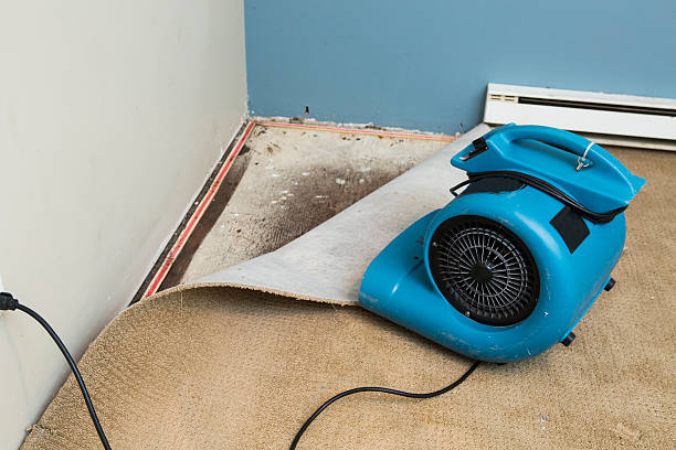 Best Water damage restoration company  in Chebanse, IL